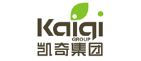 凯奇集团Kaiqi
